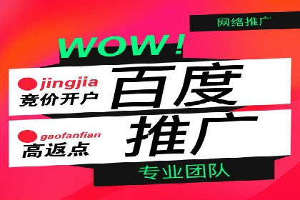 百度SEO推广公司案例精选：揭秘优化策略